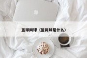 篮球网球（篮网球是什么）
